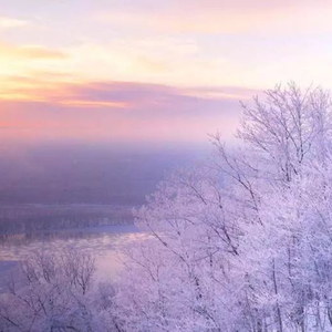 王伦宝廖承宇倾辛Gay
