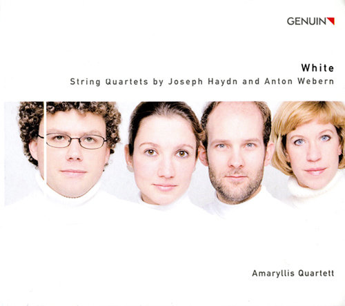 王伦宝廖承宇倾辛Gay
